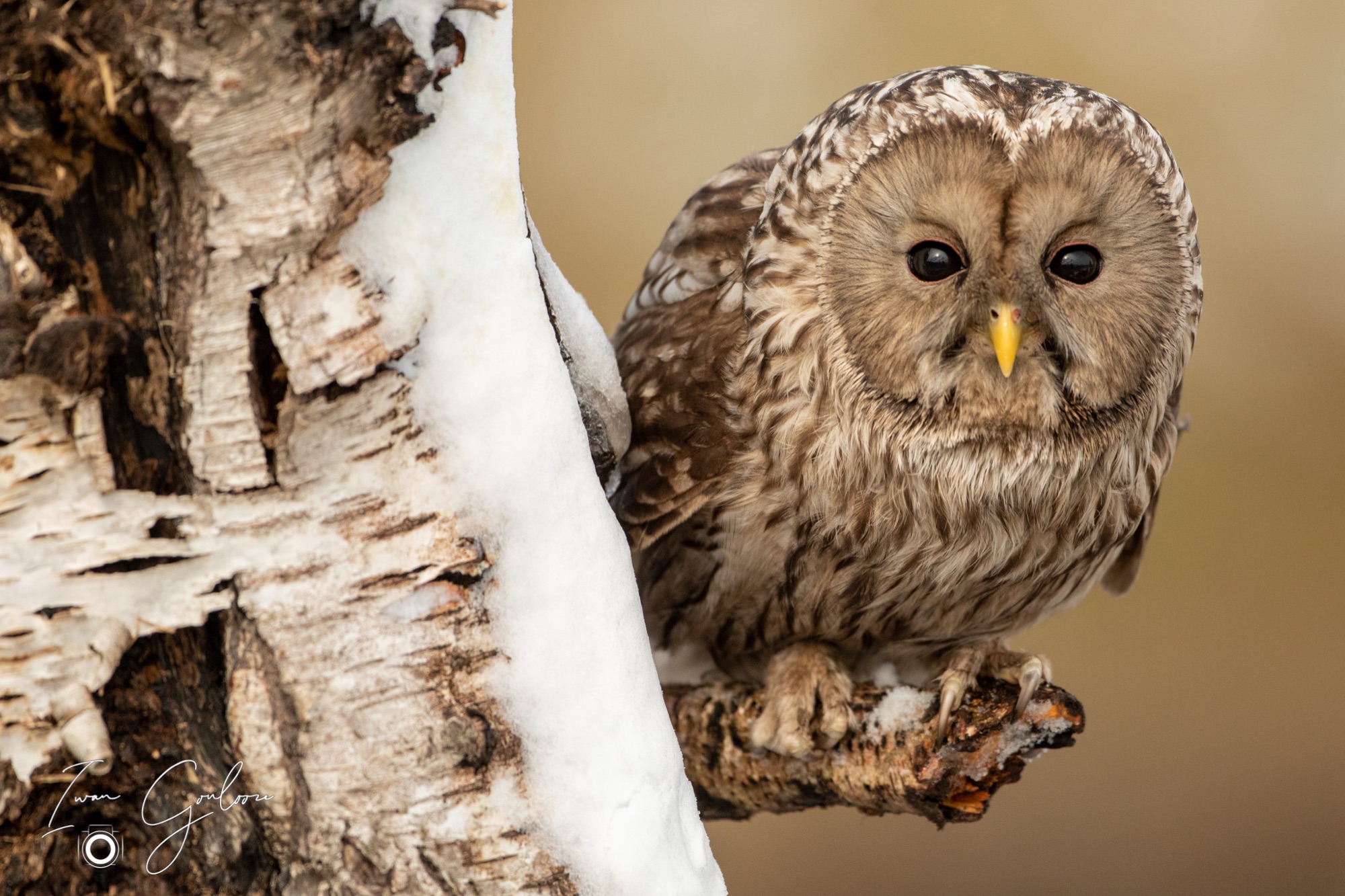 01 april 2022 111911  5D45555